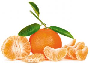 tangerine with green leaves and slices isolated on white