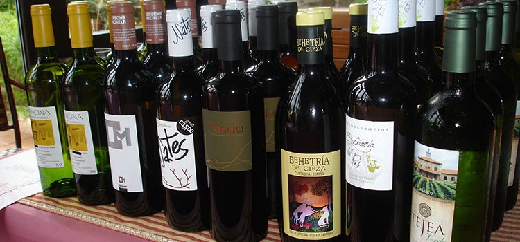 La ‘añada 2014’ de los vinos blancos de Cantabria genera optimismo