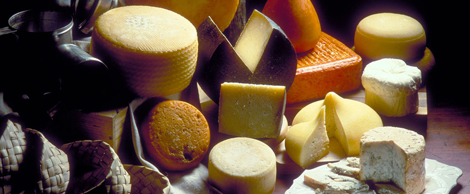Degustación de quesos en Laredo
