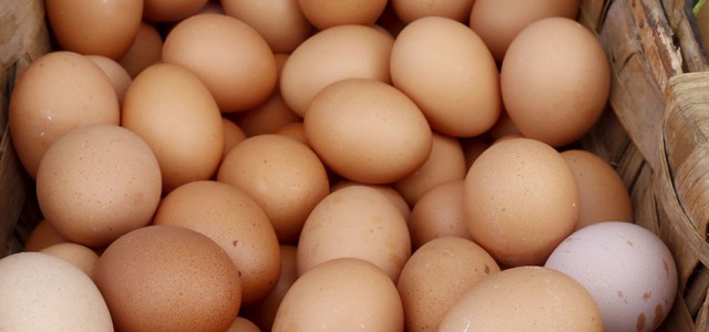 El huevo: las buenas noticias