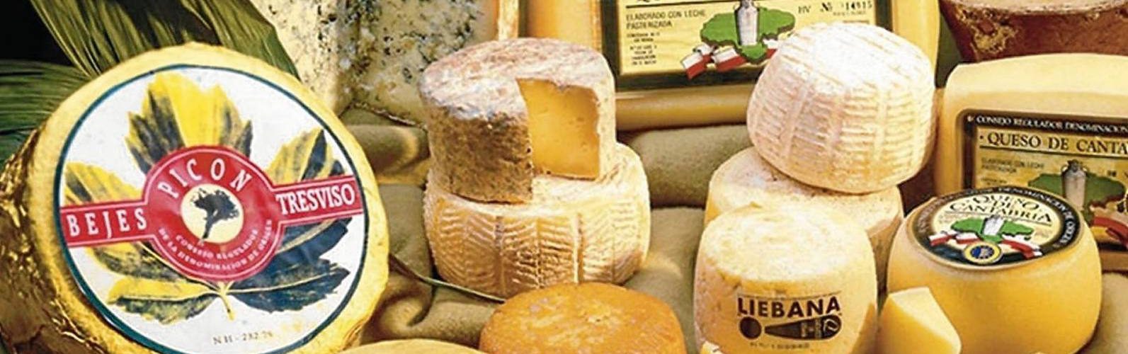Debate sobre ‘El maravilloso mundo del queso’
