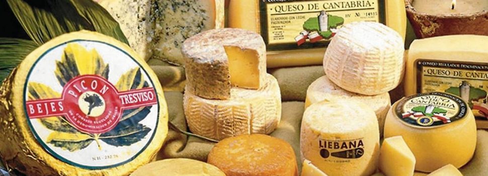 Debate sobre ‘El maravilloso mundo del queso’