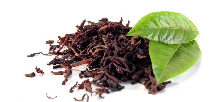 Cultura Gastronómica | El té y sus variedades