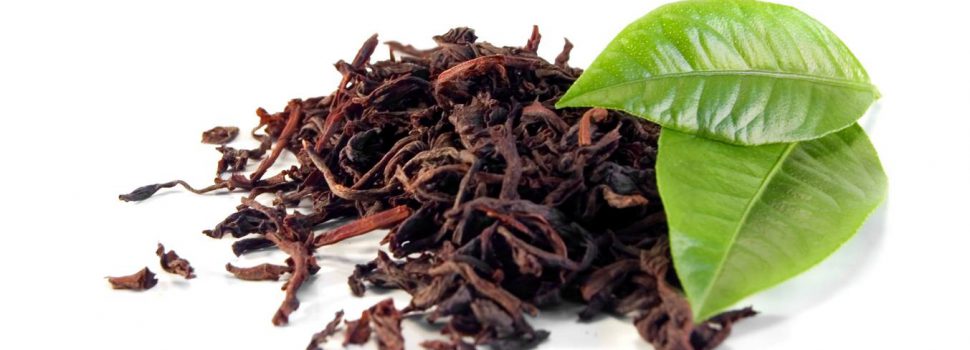 Cultura Gastronómica | El té y sus variedades