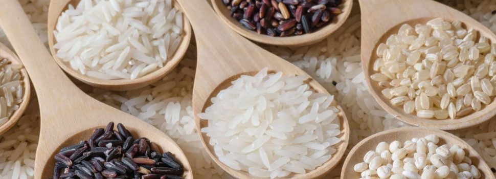 El arroz, alimento fundamental